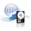 WD Caviar Blue 250GB HDD, UATA/100, 7200rpm, 8MB ( Szervizben 2 év )